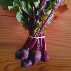 Organic beetroot (yellow) from the Garden Route